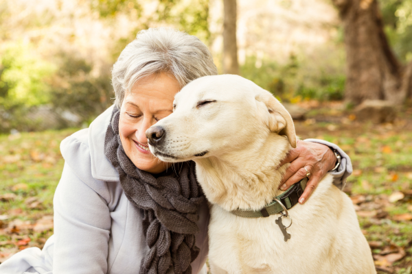 Pet therapy